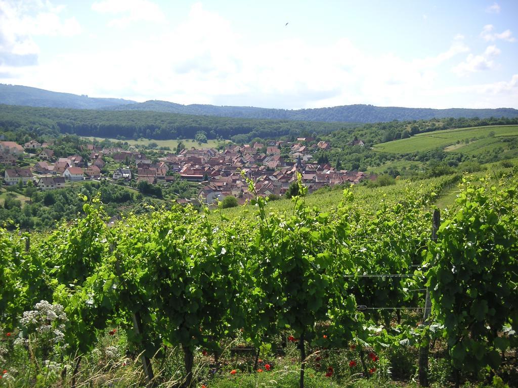 Gite Le Petit Moulin Rosenwiller Exterior foto