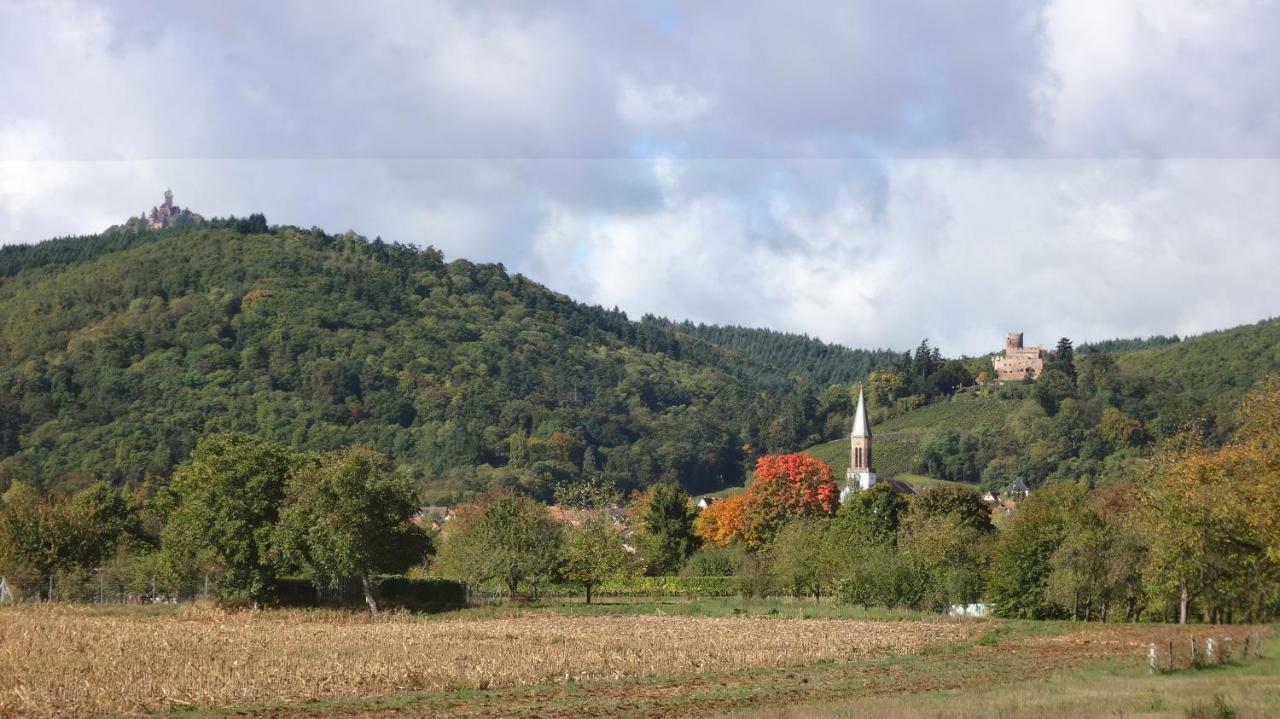 Gite Le Petit Moulin Rosenwiller Exterior foto