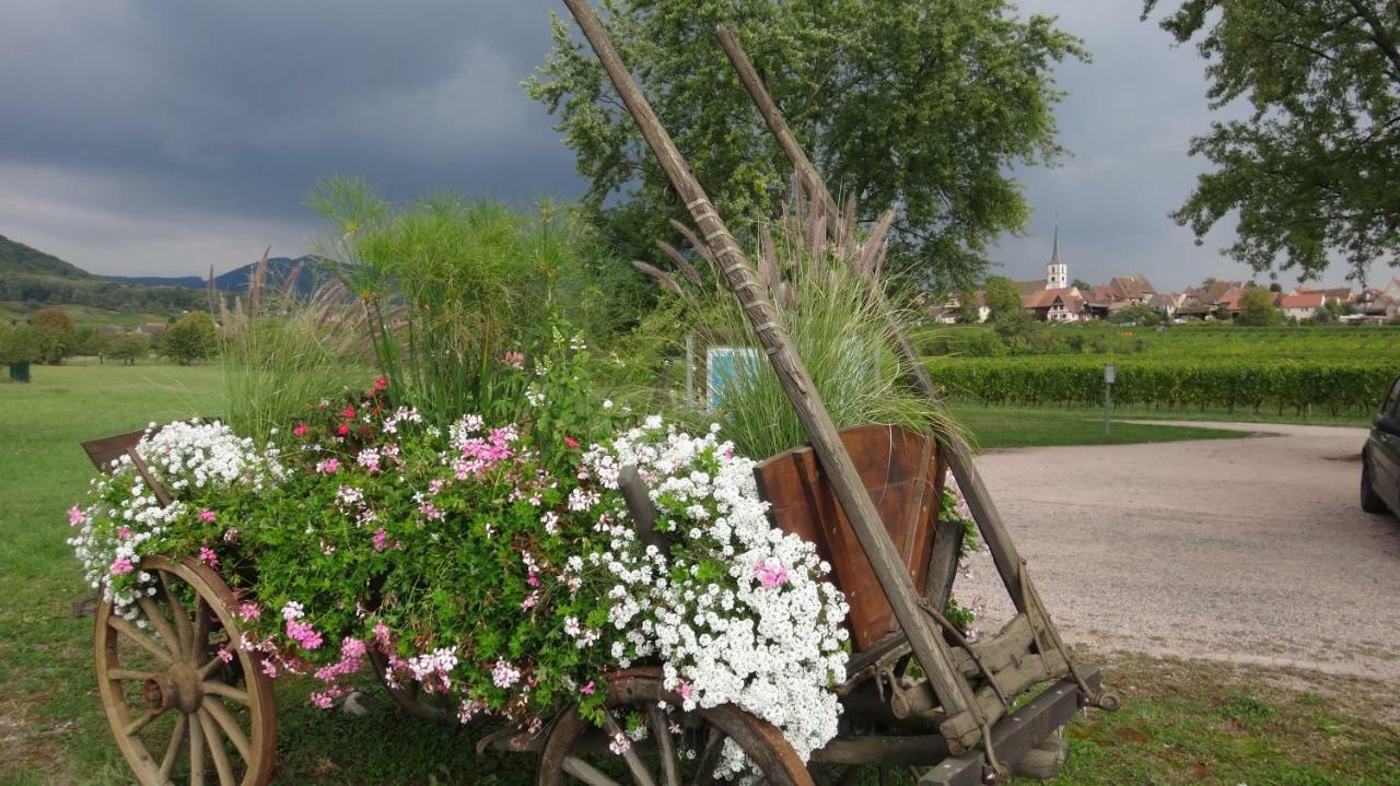 Gite Le Petit Moulin Rosenwiller Exterior foto